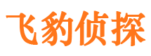 汝南侦探公司